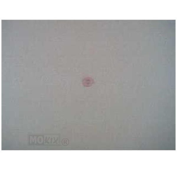 Ring 6 X 12 X 1.5 - Beta