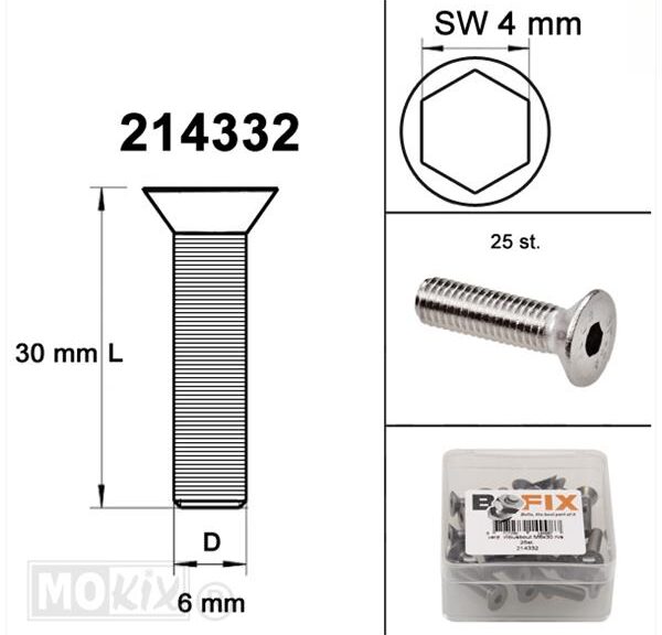 Verzonken Bout Inbus M6x30 RVS (25)