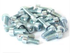 Inbus-Bout M 5x10 Elvz 25stuks - Bollard
