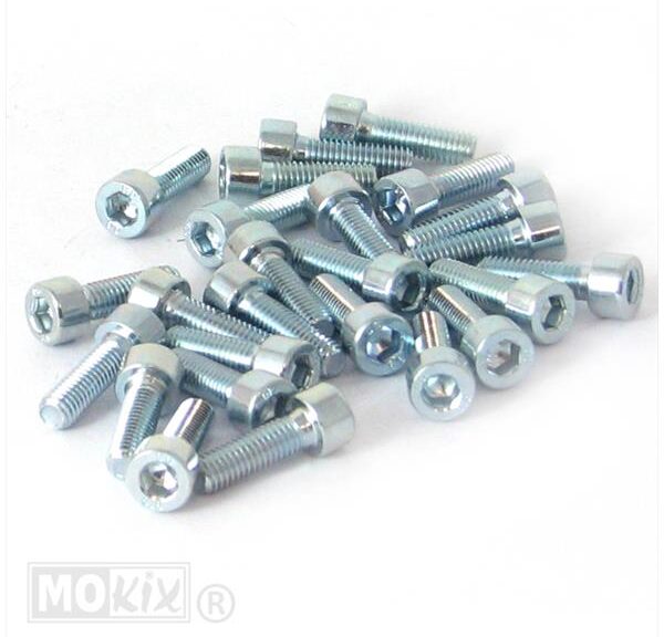 Inbus-Bout M 5x16 Elvz 25stuks - Bollard