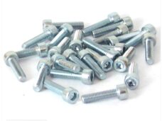 Inbus-Bout M 5x20 Elvz 25stuks - Bollard