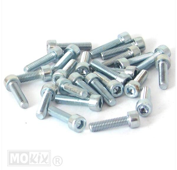 Inbus-Bout M 5x20 Elvz 25stuks - Bollard