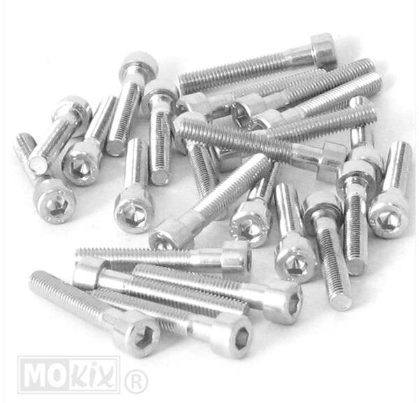 Inbus-Bout M 5x30 Elvz 25stuks - Bollard