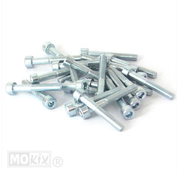 Inbus-Bout M 5x35 Elvz 25stuks - Bollard