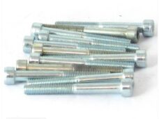 Inbus-Bout M 5x40 Elvz 12stuks - Bollard