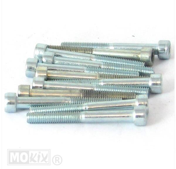 Inbus-Bout M 5x40 Elvz 12stuks - Bollard