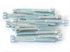 Inbus-Bout M 5x45 Elvz 12stuks - Bollard