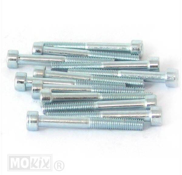 Inbus-Bout M 5x45 Elvz 12stuks - Bollard