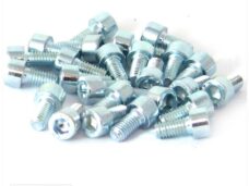 Inbus-Bout M 6x 12 Elvz 25stuks - Bollard