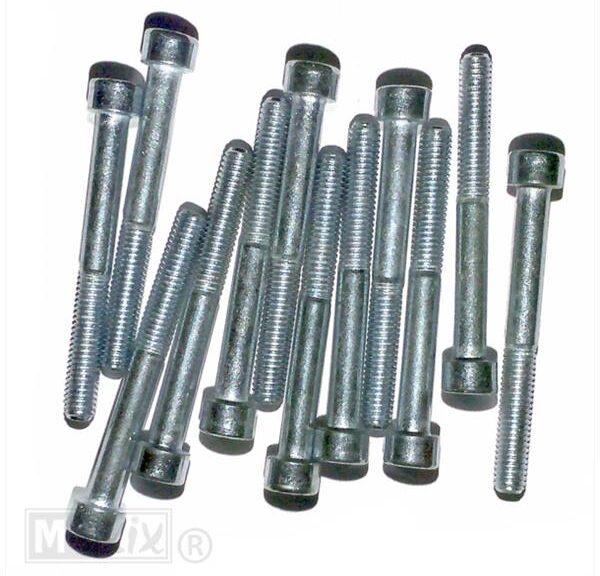 Inbus-Bout M 6x 55 Elvz 12stuks - Bollard