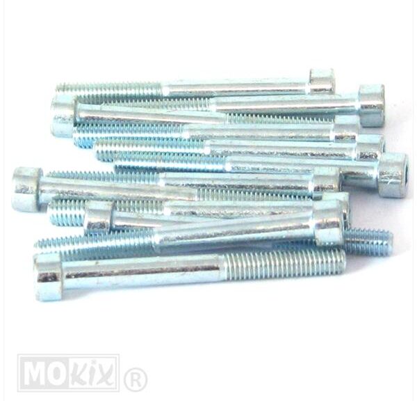 Inbus-Bout M 6x 60 Elvz 12stuks - Bollard
