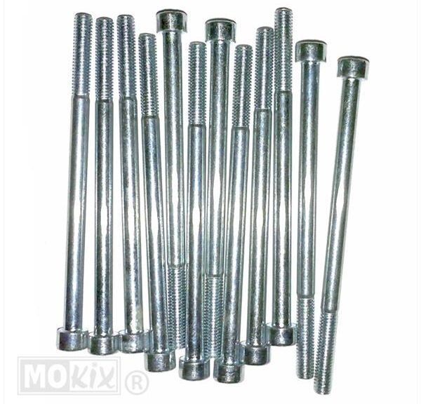 Inbus-Bout M 6x100 Elvz 12stuks - Bollard