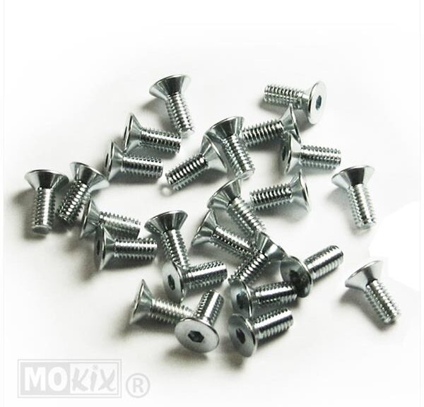 Rempomp-Deksel Schoef M4x10 (25)
