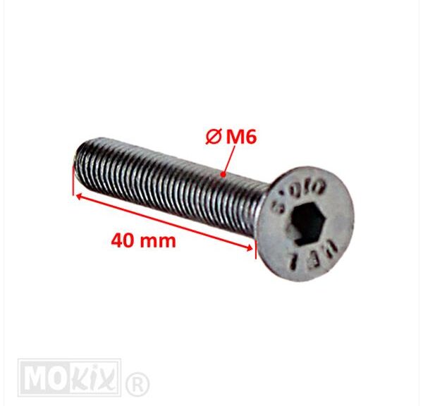 Remschijf Verzonken-Bout M6x40mm Kreidler (5)