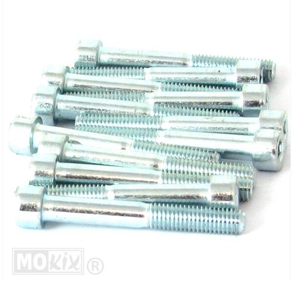 Inbus-Bout M 8x60 Elvz 12stuks - Bollard