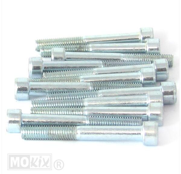 Inbus-Bout M 8x65 Elvz 12stuks - Bollard