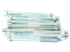 Inbus-Bout M 8x70 Elvz 12stuks - Bollard