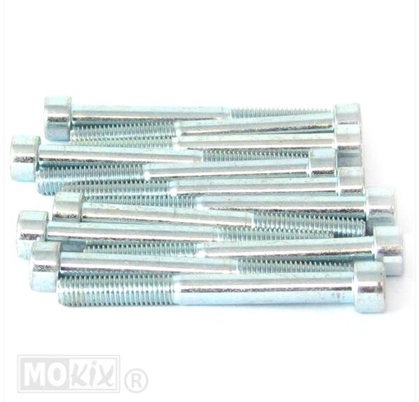 Inbus-Bout M 8x75 Elvz 12stuks - Bollard