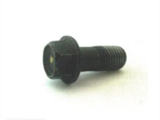 Remslang-Bout M10x1.25 Yamaha 4T ORG