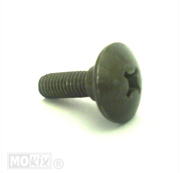 CHI Screw M6x20 FILLY1