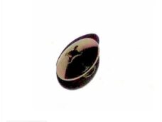 CHI Screw 4T GY6 125cc - Giantco