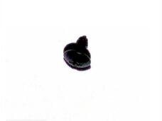 CHI Screw ST 4.2x8 4T GY6 125cc - Giantco