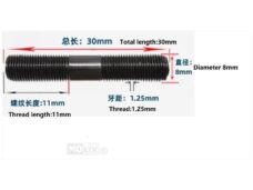 Uitlaat Tapeind UNI M8x30mm SP (1)