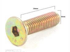 Remschijf Verzonken-Bout M8x30mm Blank - Supertec