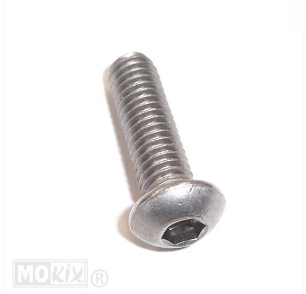 Remschijfinbusbout M6x20 Bolkop (1) - Bollard