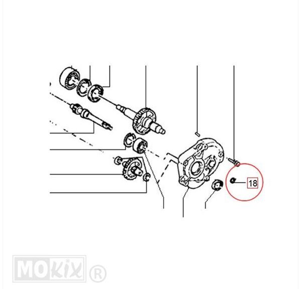Primiere AS Kartelring 5mm Piaggio