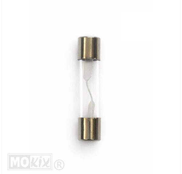 Zekeringen Glas 10ampere 25mm (100)