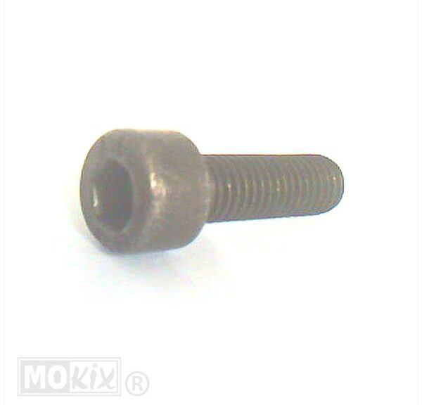 PEU Schroef CHC M8x1.25-25 - Peugeot