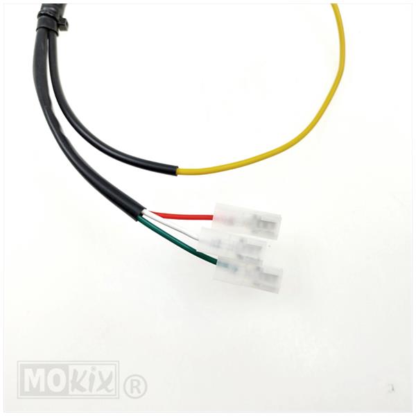 Ontsteking Minarelli AM3/4/5/6 Kaal TP - Afbeelding 3