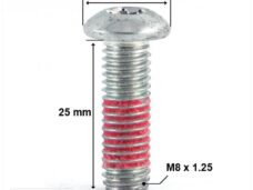 Remschijfbout M8x25 (1.25)  PEU Viva City 3 ORG - Peugeot
