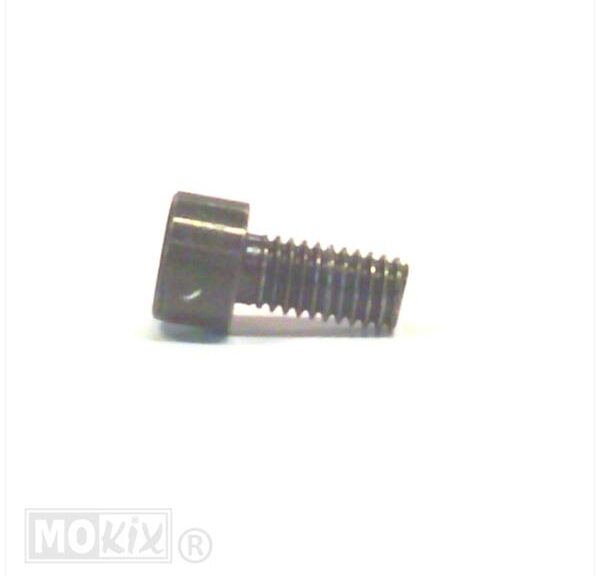 PEU Schroef CHC M6x1.00-12 - Peugeot
