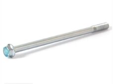 PEU Schroef Tweet 6x1.00-100 - Peugeot