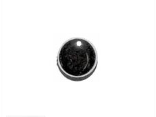 SYM Bolt Cover