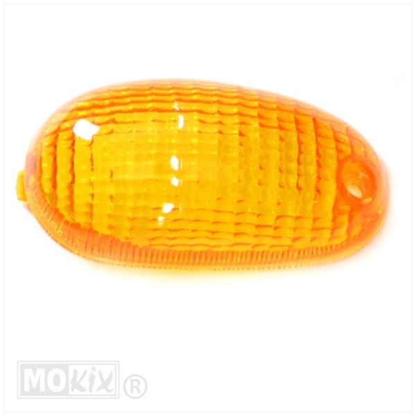 RAW-BOL Glas Piaggio Typhoon/NRG R.V. (Elec)