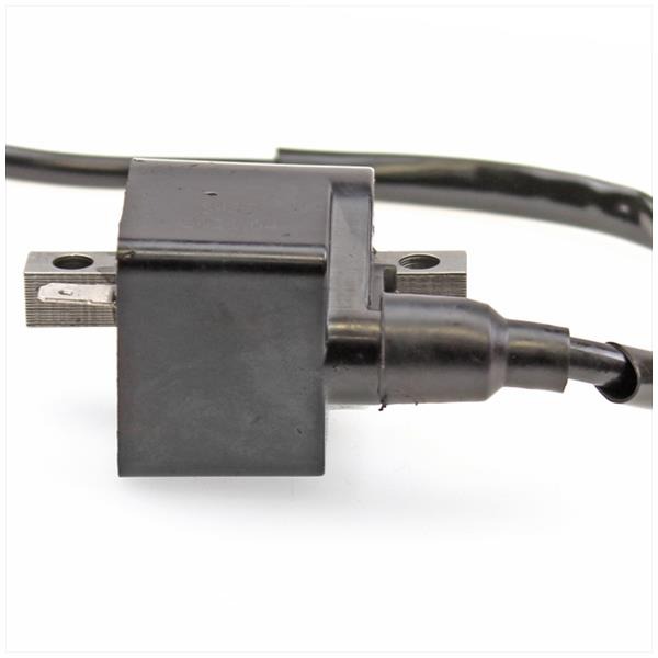 Bobine Suzuki TSX/FZ/RMX/SMX 50 + CDI Elec - Afbeelding 3