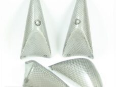 RAW-BOL Glas Peugeot Speedfight SET Carbon