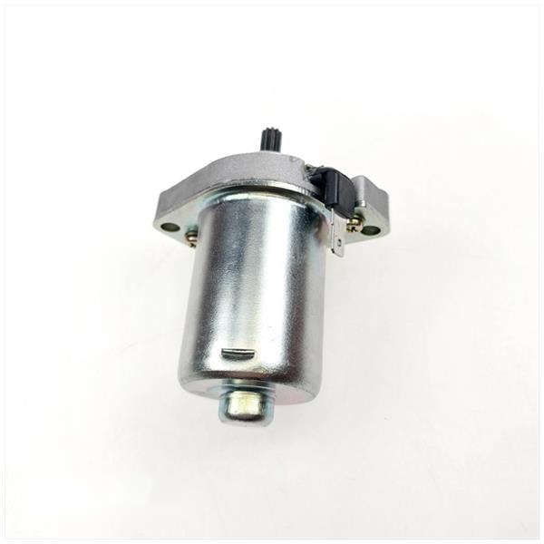 Startmotor Minarelli Horizontaal/Verticaal Elec - Afbeelding 2