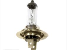 Lamp PX26D H7 12V 55W (1) - Bollard