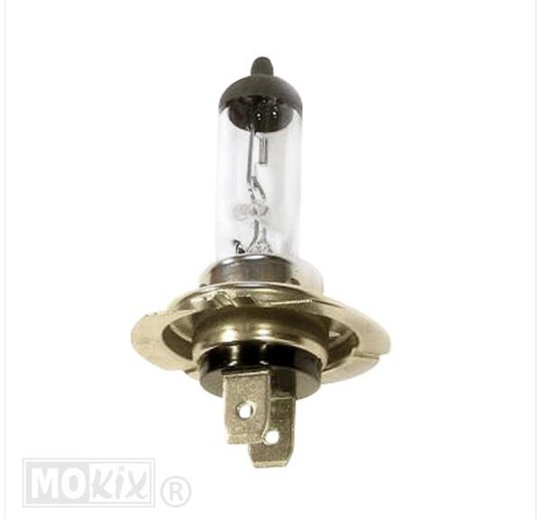 Lamp PX26D H7 12V 55W (1) - Bollard