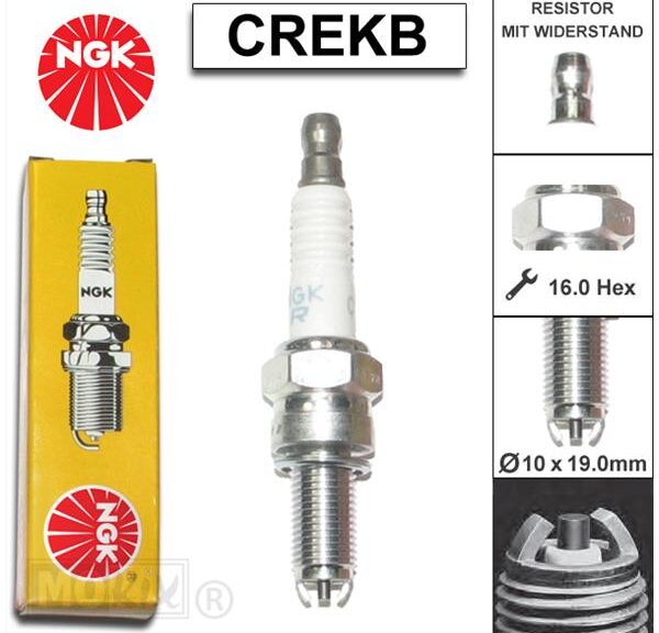 Bougie NGK CR 7EKB (1)