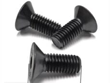 Remschijf Verzonken-Bout M8x20mm Zwart (3) - Bollard