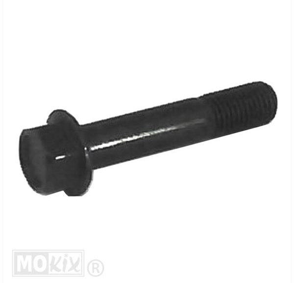 SYM MIO Bout 10x50