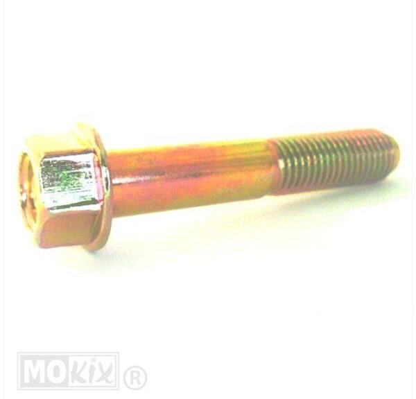 SYM MIO Bout 10x55