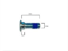Remschijf Borstbout M8x25 Derbi Senda (1) - Bollard