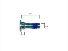 Remschijf Borstbout M8x25 Derbi Senda (1) - Bollard