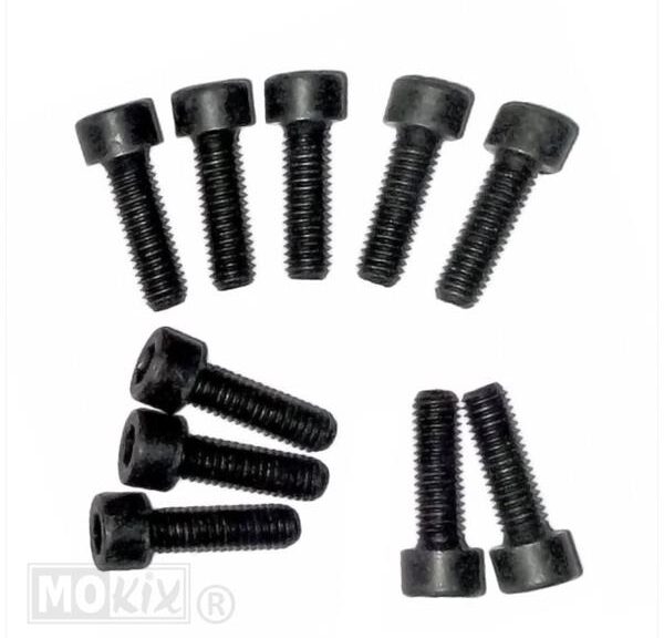 Inbus-Bout M 6x 20 Zink  10stuks Zwart - Bollard